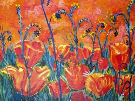 poppies on fire